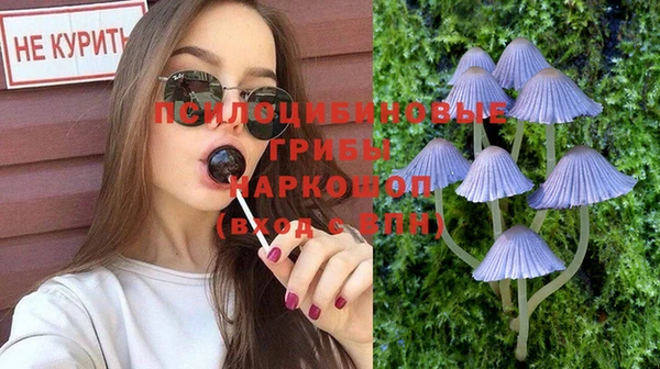 крисы Вяземский